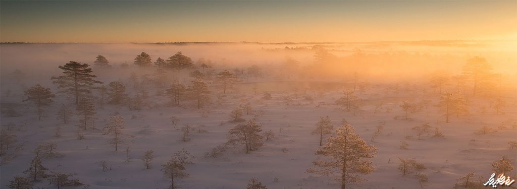 دمای هوا در فصول مختلف سال در استونی
