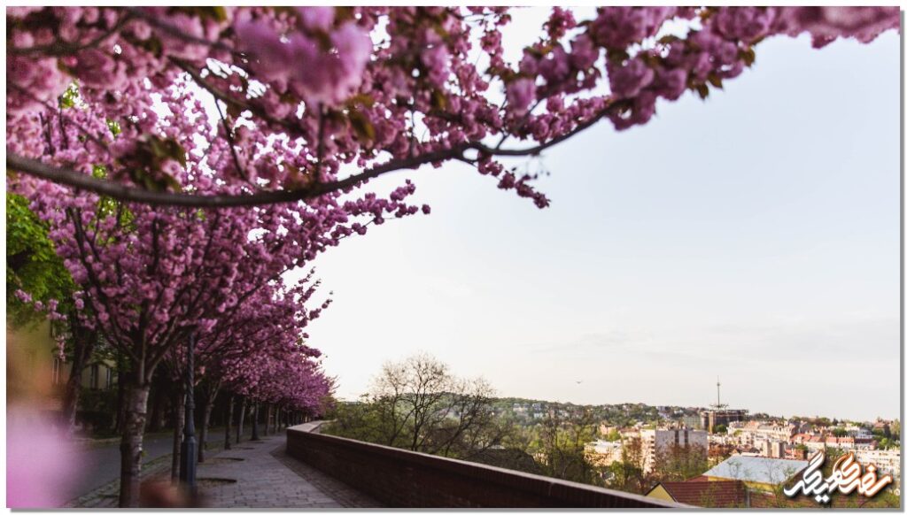 آب و هوای بوداپست در فصل بهار | سفری دیگر