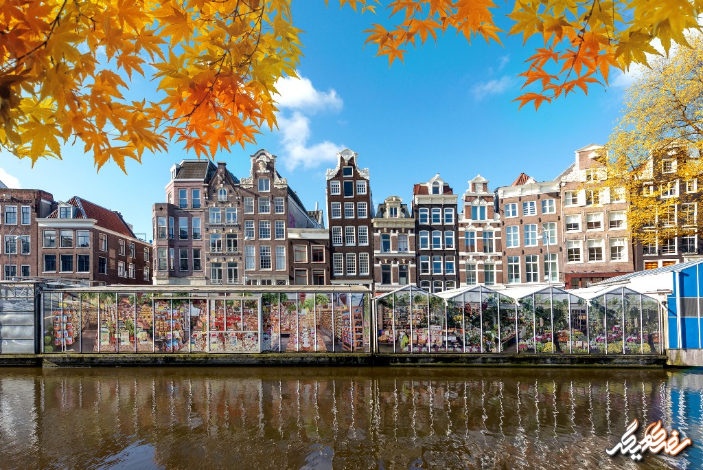 آب و هوای آمستردام در فصل پاییز | سفری دیگر