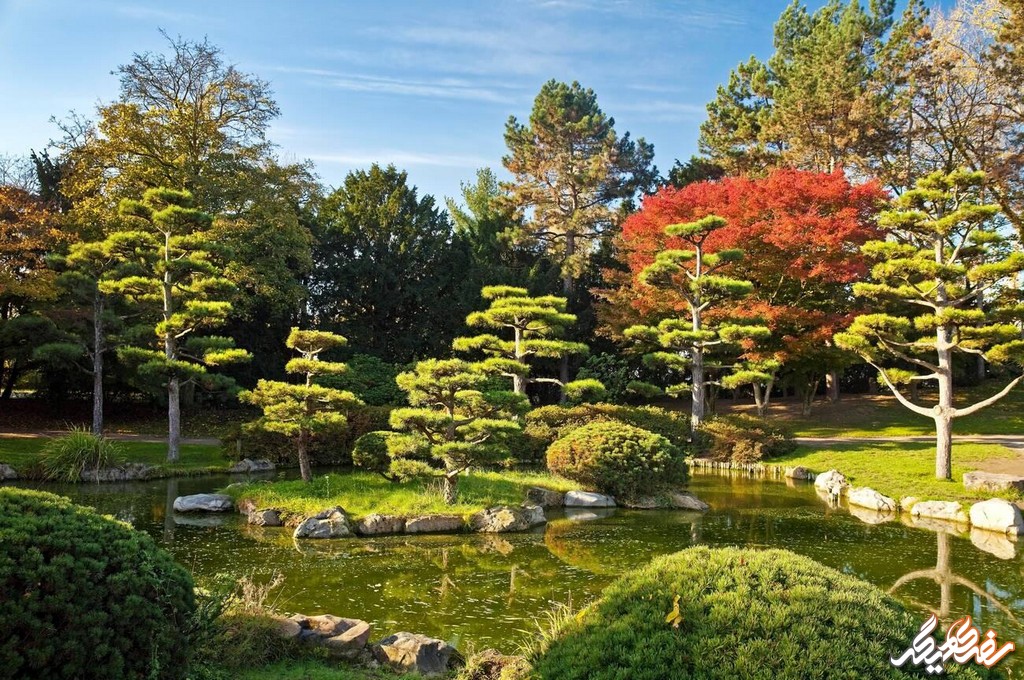باغ ژاپنی نرد پارک | سفری دیگر