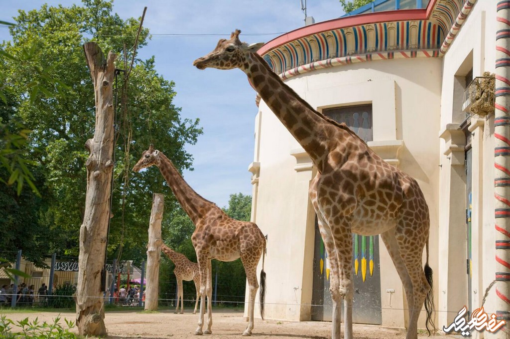 باغ وحش آنتورپ از دیدنی‌ های آنتورپ | سفری دیگر