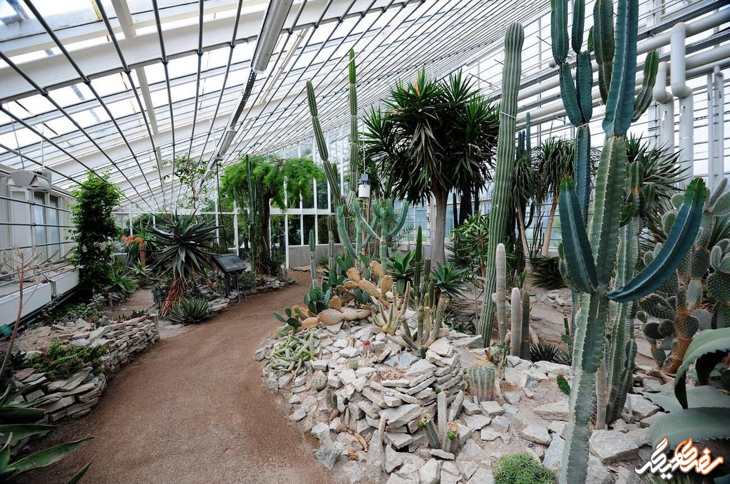 باغ گیاه شناسی آرهوس از دیدنی های شهر آرهوس | سفری دیگر