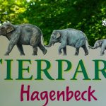 باغ وحش هامبورگ - باشکوه ترین پناهگاه حیات وحش