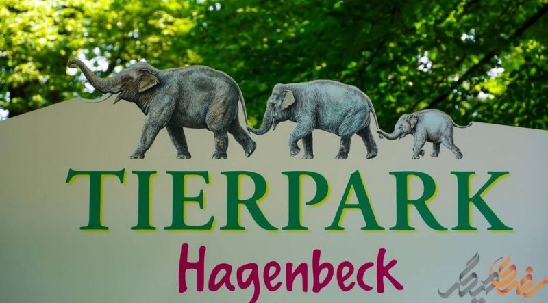 باغ وحش هامبورگ - باشکوه ترین پناهگاه حیات وحش