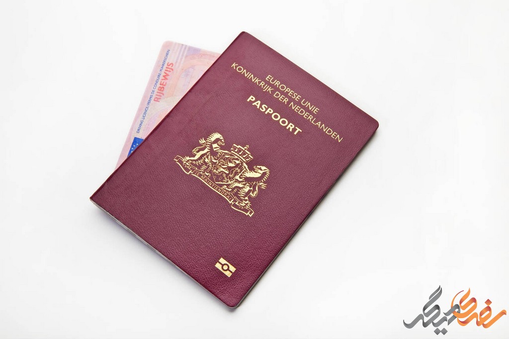 به طور کلی، جلوگیری از رد شدن ویزای هلند مستلزم دقت، برنامه‌ریزی دقیق و ارائه اطلاعات و مدارک صحیح است. 