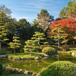 باغ ژاپنی بن آلمان | معرفی – تاریخچه – تصاویر   