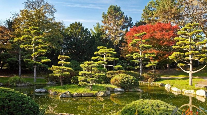 باغ ژاپنی بن آلمان | معرفی – تاریخچه – تصاویر   