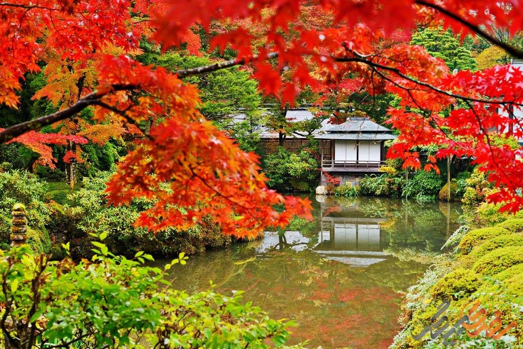 در دل محیطی پر جنب و جوش و صنعتی که مشخصه زندگیِ مدرن است، باغ‌های ژاپنی به مثابه عرصه‌هایی از آرامش، تعمق و زیبایشناختی سنتی مطرح می‌شوند.