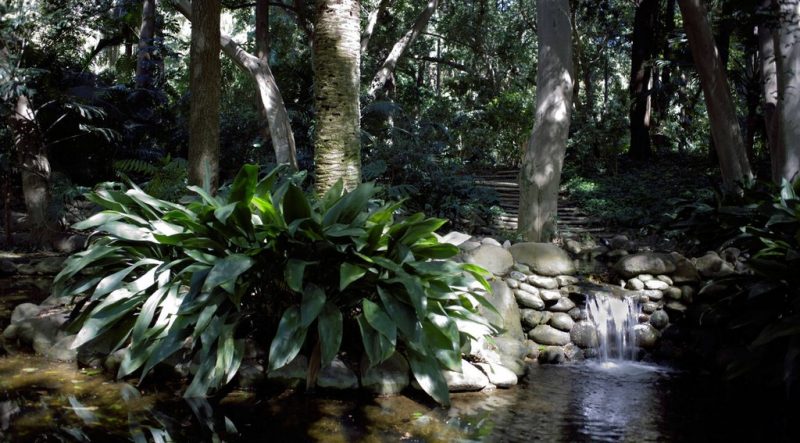 باغ گیاه شناسی مالاگا : جواهری پنهان در اسپانیا