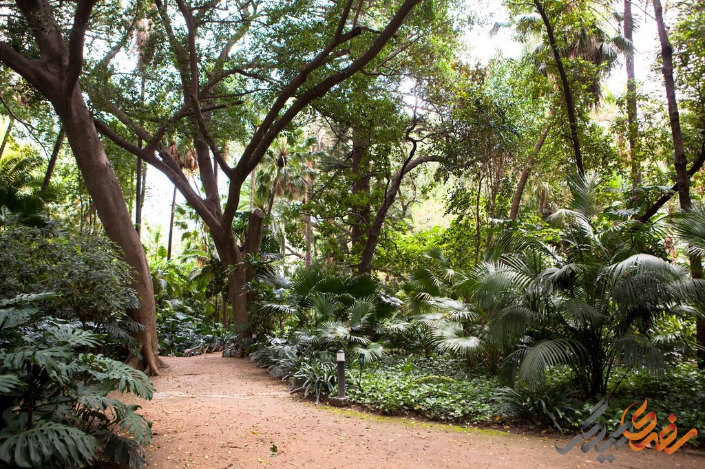 باغ گیاه شناسی مالاگا Jardín Botánico دارای بیش از 2000 گونه گیاهی است که شامل درختان، بوته‌ها، گل‌ها و گیاهان خاص مناطق گرمسیری و معتدل می‌شود.