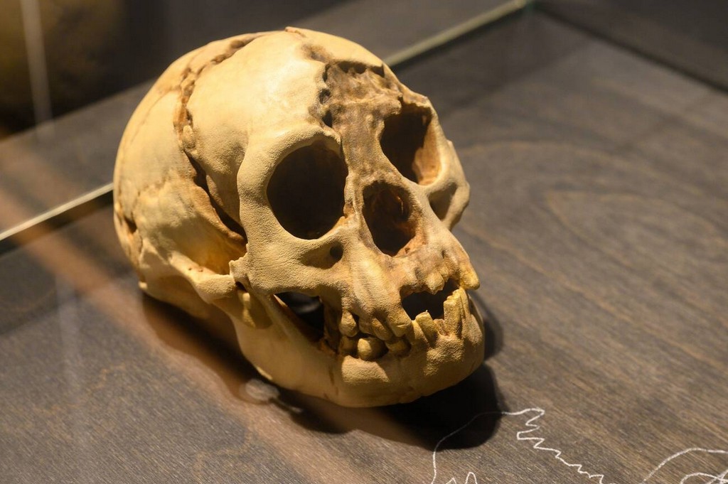 برای بازدید از موزه انسان در جزیره تنریف، لازم است که از قبل زمان مراجعه را برنامه‌ریزی کنید. این موزه در روزهای خاصی از هفته باز است