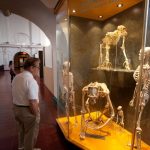 موزه انسان در جزیره تنریف اسپانیا، موزه‌ای جذاب برای علاقه‌مندان به تاریخ و طبیعت است.