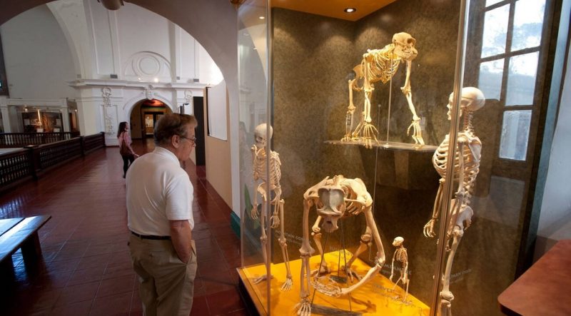 موزه انسان در جزیره تنریف اسپانیا، موزه‌ای جذاب برای علاقه‌مندان به تاریخ و طبیعت است.