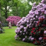 این پارک، نه تنها به عنوان یکی از بزرگ‌ترین مجموعه‌های این گونه گل‌ها در سراسر اروپا شناخته می‌شود، بلکه به عنوان یک اثر زنده‌ی هنری که در چهار فصل سال تجلی‌گر زیبایی‌های طبیعت است، مورد تحسین قرار گرفته‌است.