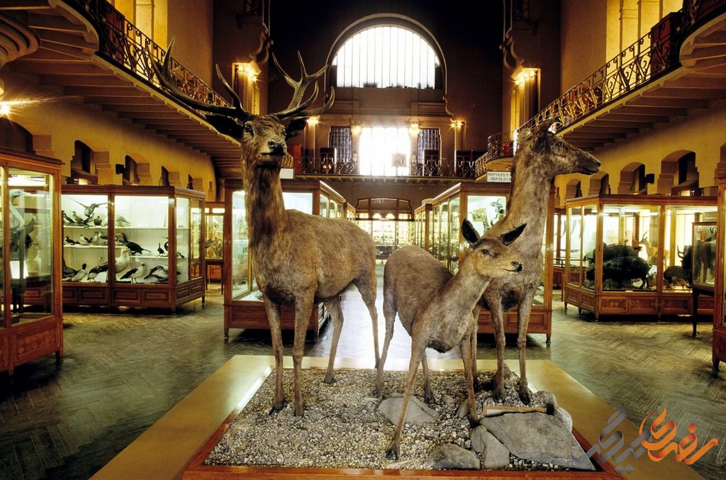 موزه جانورشناسی بارسلونا نه تنها یک مکان برای نمایش جانوران است، بلکه در زمینه حفاظت از تنوع زیستی نیز نقش مهمی ایفا می‌کند.