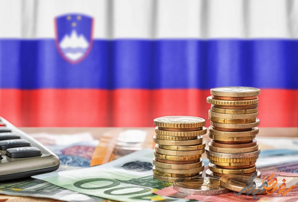 : برای اثبات تمکن مالی خود، باید مدارکی را به سفارت اسلوونی ارائه دهید که نشان دهد می‌توانید از عهده هزینه‌های سفر و اقامت در اسلوونی برآیید. 