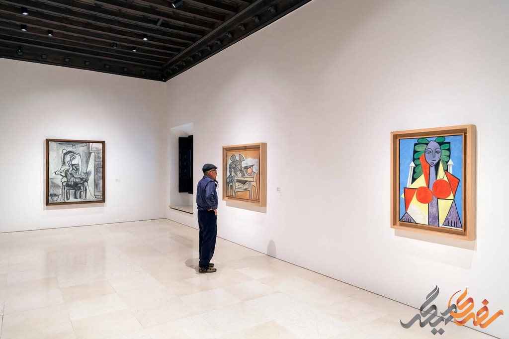مجموعه‌های موزه پیکاسو  شامل آثاری است که توسط خانواده پیکاسو اهدا شده و همچنین آثاری که توسط دولت اسپانیا و موسسات دیگر تامین شده است. 