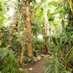 باغ گیاه شناسی آرهوس : بانک ژنتیکی گیاهی