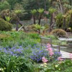باغ‌ گیاه‌ شناسی ادنسه : از مهمترین مراکز تحقیقاتی و آموزشی در زمینه گیاه‌شناسی