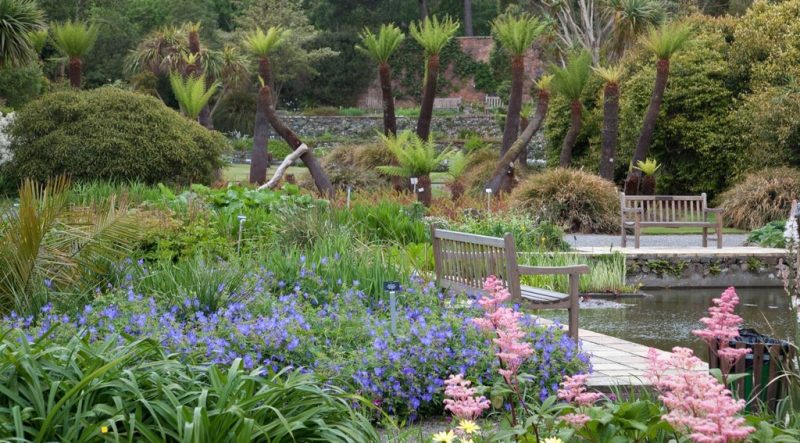 باغ‌ گیاه‌ شناسی ادنسه : از مهمترین مراکز تحقیقاتی و آموزشی در زمینه گیاه‌شناسی