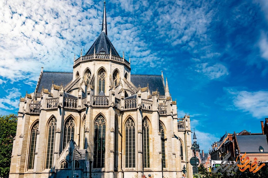 کلیسای سنت پیتر لوون یکی از بناهای تاریخی و مهم شهر لوون در کشور بلژیک است.