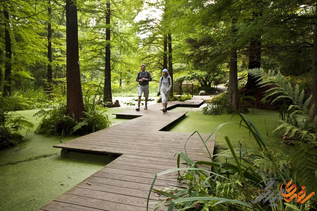 باغ گیاه‌ شناسی ادنسه، که در قلب اروپا قرار دارد، یکی از بزرگ‌ترین و متنوع‌ترین باغ‌های گیاه‌شناسی در جهان به شمار می‌رود