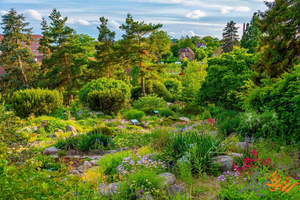 در این باغ گیاه‌شناسی، گیاهانی از مناطق مختلف دنیا یافت می‌شود که از جمله می‌توان به گل‌های گرمسیری، کاکتوس‌ها، گیاهان دارویی، بامبوها و درختان کهن‌سال اشاره کرد