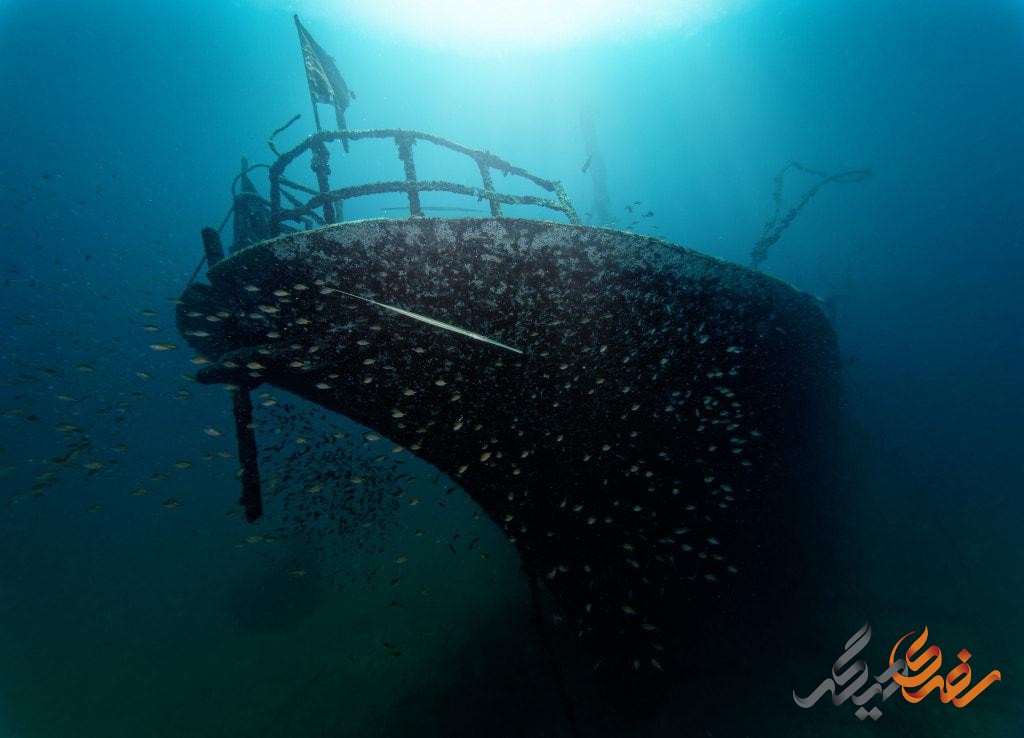 پارک ملی زیردریایی کوسترهیوت در سوئد - کشف زیبایی‌های نهفته - سفری دیگر